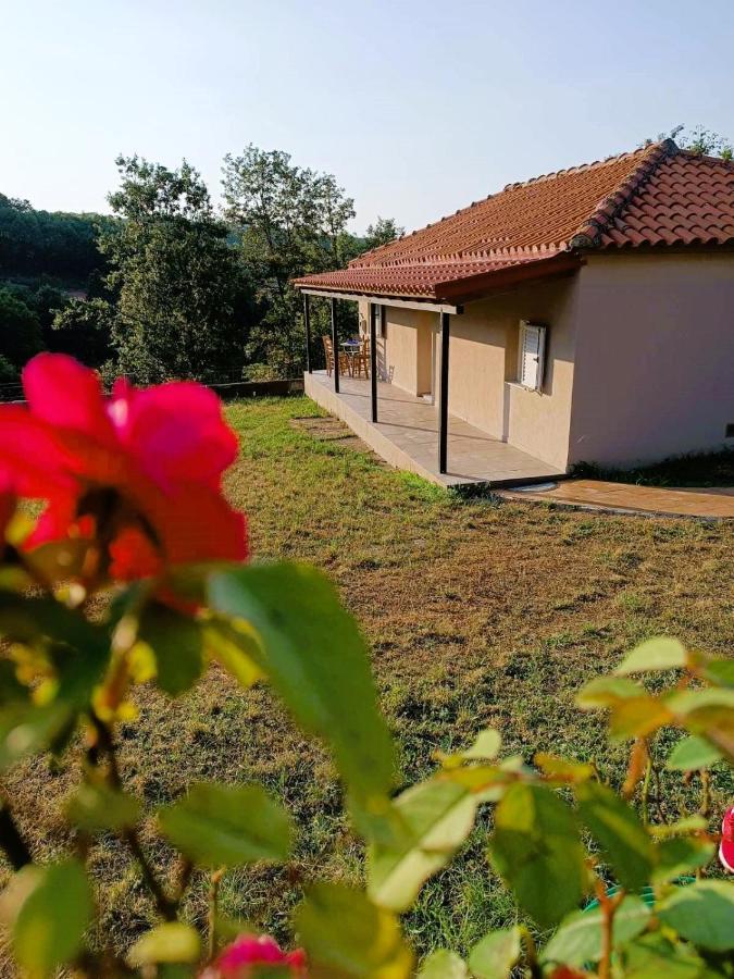 Billy'S House Villa Kalampáka Dış mekan fotoğraf