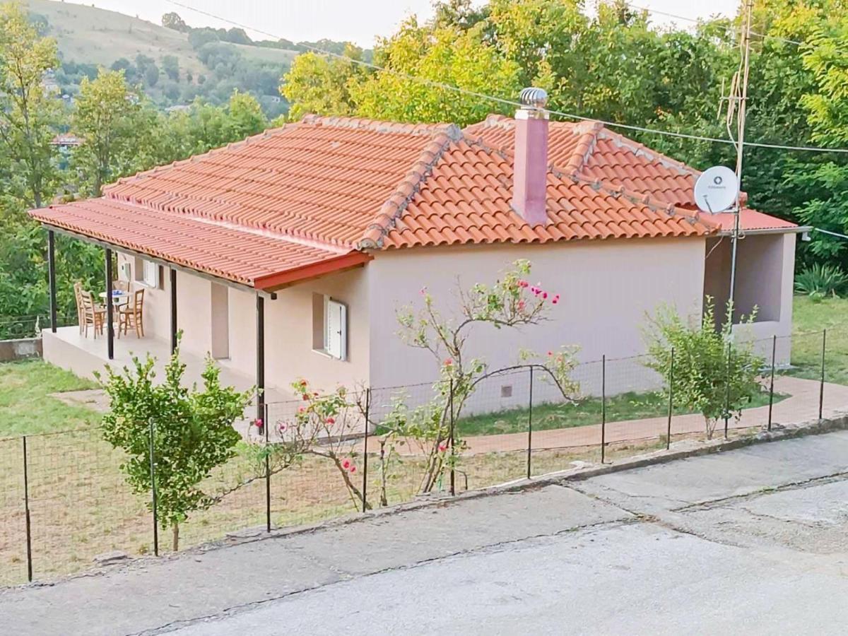 Billy'S House Villa Kalampáka Dış mekan fotoğraf