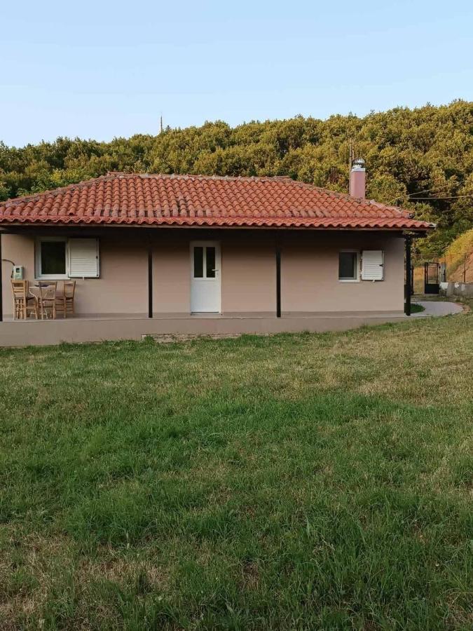 Billy'S House Villa Kalampáka Dış mekan fotoğraf