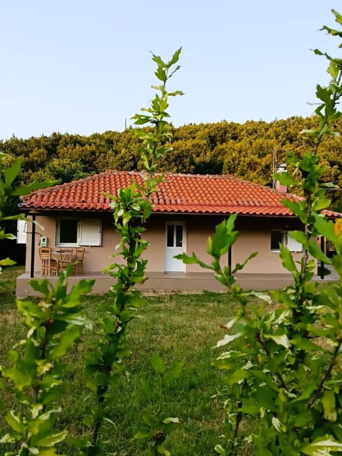 Billy'S House Villa Kalampáka Dış mekan fotoğraf